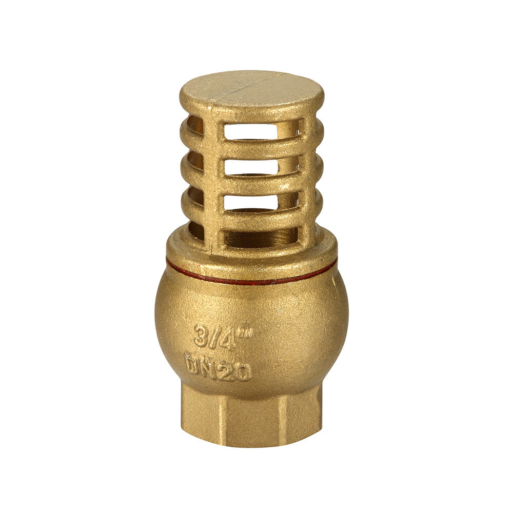 Foot Valve Brass 100MM