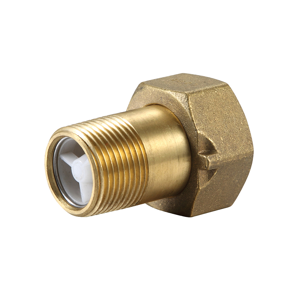 Meter Coupling Brass 25FI X 20MI BSP With Check Valve