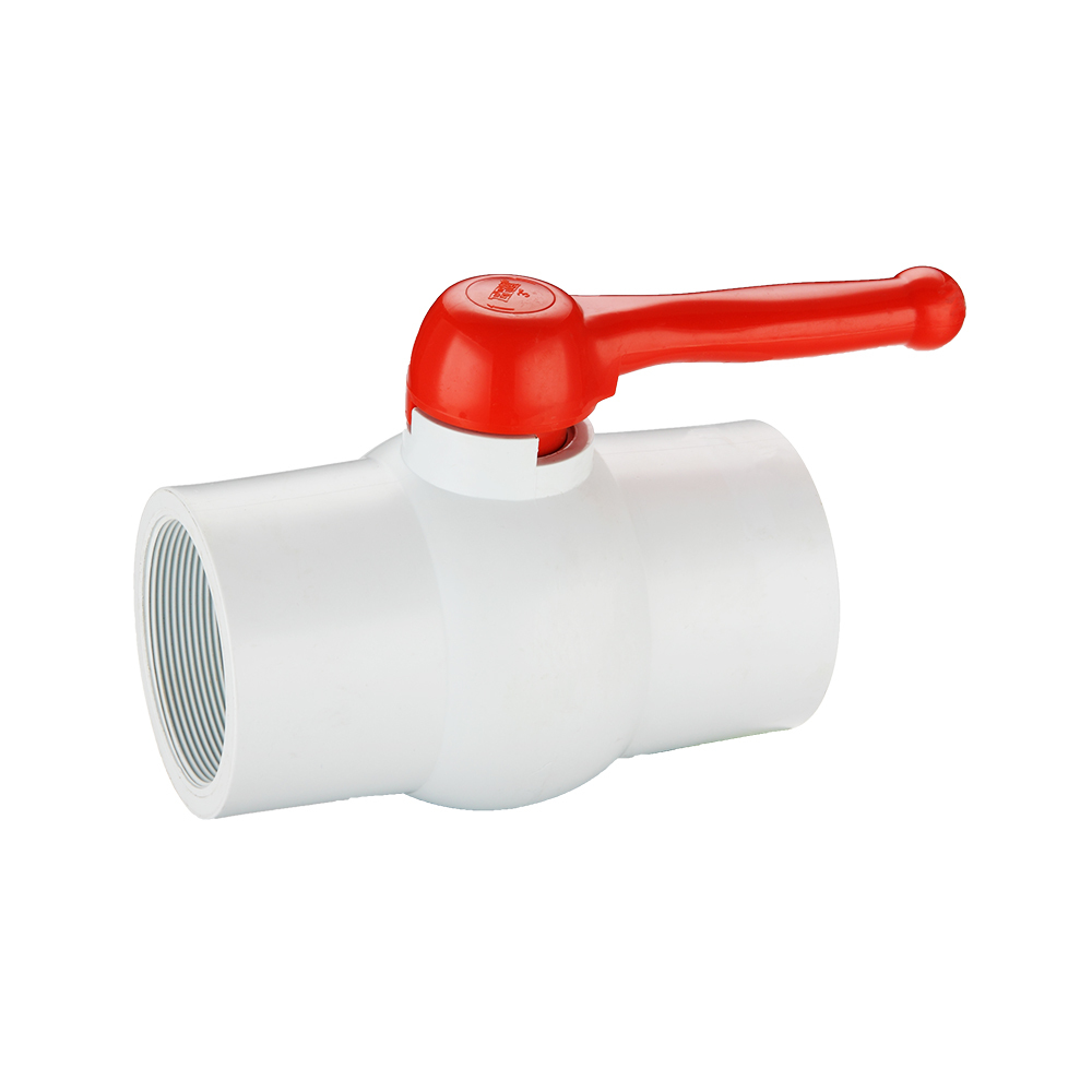 PVC Ball Valve FI X FI BSP 100MM