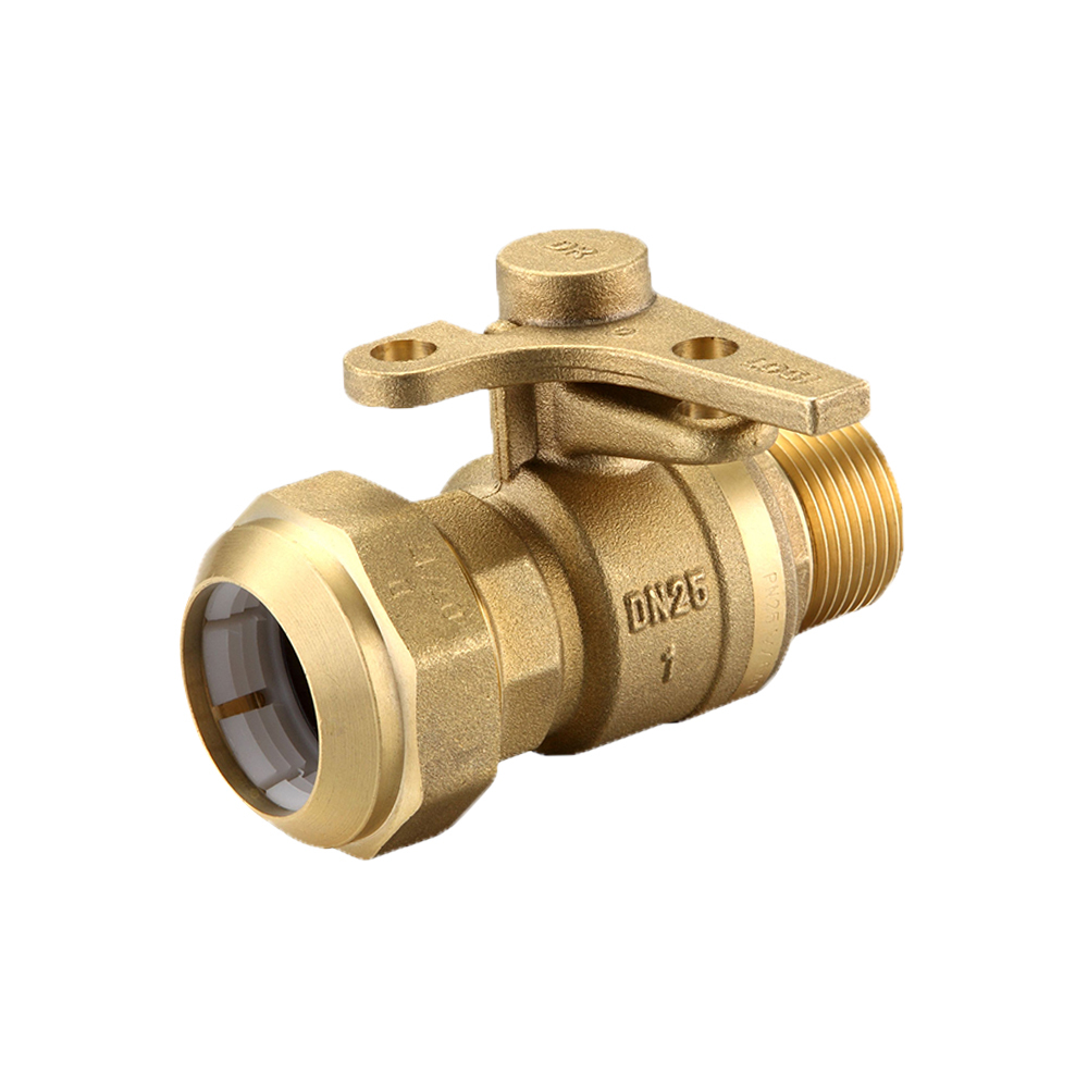 Watermarked Ball Valve Brass 20MI X 25PE Lockable